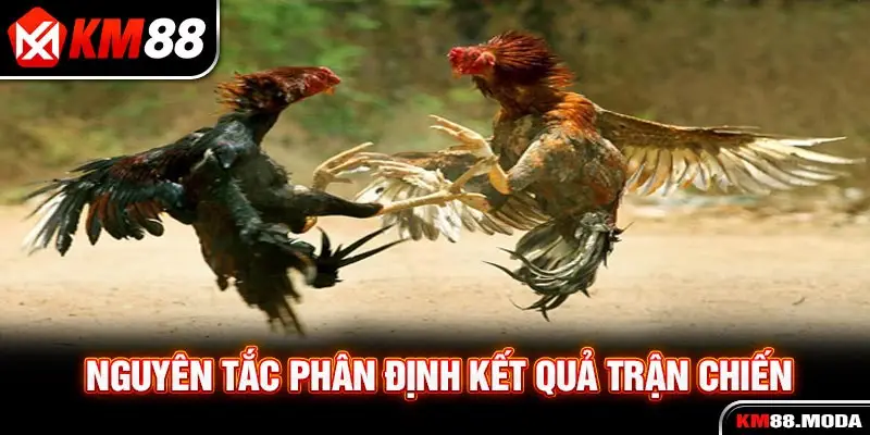 Nguyên tắc phân định kết quả trận chiến