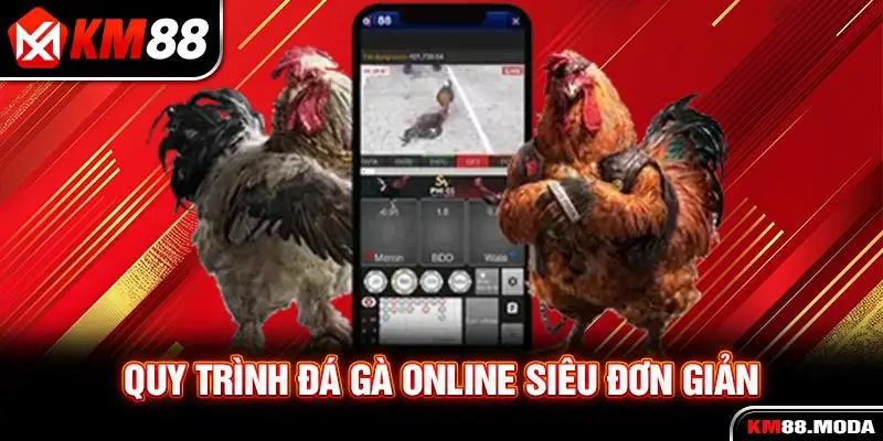 Quy trình đá gà online siêu đơn giản