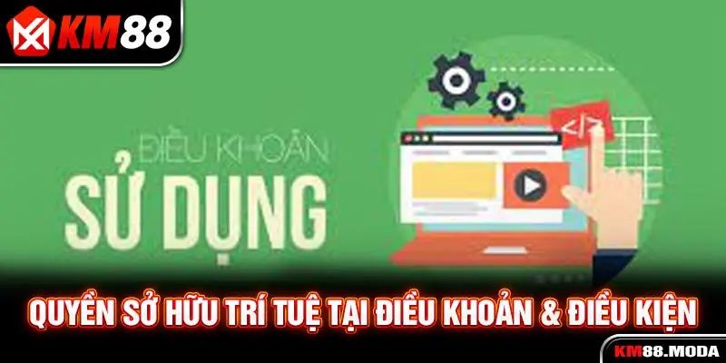 Quyền sở hữu trí tuệ tại điều khoản & điều kiện